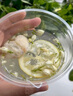 忆江南 水果茶 西柚柠檬百香果茶105克 冷泡茶冲泡饮品水喝的冻干花茶包 实拍图