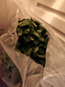 绿食者 新鲜薄荷叶 Mojito调酒茶饮泡水装饰可食用薄荷叶香料蔬菜 500g 实拍图