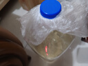 土老二10斤桶装贵州酱香基酒散装53度高度5000ML自饮高粱酒泡药酒 53%vol 5000mL 1桶 十斤茅台镇散酒 实拍图