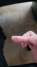 欧乐多（Olodo）德国304不锈钢切羊肉卷家用机羊肉切片机小型切骨机火锅切肉片机 304切片切骨一体机【配两件套】 实拍图