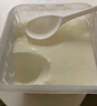 伊利经典凝酪酸奶 低温老酸奶家庭装原味 800g 风味发酵乳 实拍图