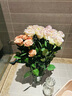 云南鲜花批发品质玫瑰百合水养鲜切花送女友水养鲜花源头直发 薄雾紫玫瑰-20枝（喷色） 【任选2件—不收运費】 实拍图