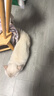 鲜朗主食罐猫咪营养蓝猫英短暹罗幼猫成猫替代主粮全价湿粮猫罐头 三文鱼口味5盒【囤货装 共30罐】 实拍图