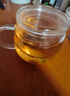 富光花茶杯 男女士茶水分离杯子 双层办公泡茶玻璃杯带把高硼硅水杯 实拍图