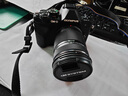 奥林巴斯（OLYMPUS）E-M10 MarkIV EM10四代 微单相机 数码相机 微单套机（14-42mm & 40-150mm）黑 实拍图