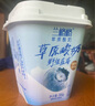 兰格格草原酸奶 野生蓝莓300g*2杯0蔗糖酸奶 生鲜低温 酸牛奶 实拍图