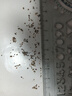 涵酷原生缸溪流沙造景底沙天然溪流石南美缸雷龙鱼水草装饰河沙川藏砂 极细溪流沙5斤【1-2毫米】 实拍图
