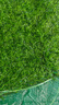 假草坪仿真草皮绿色地毯户外人造塑料人工仿生室外隔热围挡足球场 2.0cm加密春草 【0.5米宽*0.5米长】 实拍图