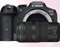 佳能（Canon）r7微单相机  R7专业高画质4K旅游 vlog视频直播数码高清照相机 R7+RF 100-400超远摄镜头套装 官方标配【不含内存卡基础配件 推荐购买套餐】 实拍图