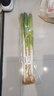 【产地直采】大葱 约450g 实拍图