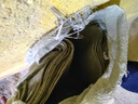 星爸编织袋加厚款灰绿色麻袋蛇皮袋50*80cm 50条搬家水泥沙子垃圾快递打包袋抗洪防汛袋 实拍图