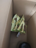 煜树鹿茸红粉片10克/瓶 吉林长白山鹿茸片含血整枝切片可泡酒 实拍图