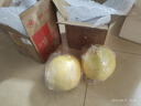 京鲜生 红肉蜜柚 1粒 单果2.5-3.3斤 生鲜柚子水果 实拍图