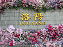 美宝莲MAYBELLINE 眼部及唇部卸妆液卸妆水40ml 旅行装生日礼物女 实拍图