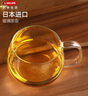 Kinto玻璃杯茶杯日本进口透明耐热水杯办公室泡茶杯一体式过滤茶壶 【人气推荐】手柄杯350ml 实拍图