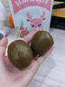 以美野生罗汉果 精选果实6粒装 广西桂林搭胖大海泡水喝的花草茶50g 实拍图