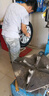 米其林（MICHELIN）汽车轮胎 215/60R16 99V 浩悦四代 PRIMACY 4 适配雅阁/凯美瑞 实拍图