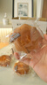 三只松鼠老式鸡蛋糕600g 早餐面包小蛋糕代餐吐司休闲零食整箱糕点点心 实拍图