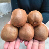 京鲜生 陕西徐香绿心猕猴桃 30粒单果70-90g 新鲜水果 源头直发 包邮 实拍图