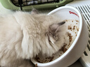 皇家（ROYAL CANIN）猫粮慕斯猫罐头湿粮奶糕幼猫粮全价粮 欧洲原装进口猫咪主食罐头 【1170g 猫奶糕罐头】195g*6罐 实拍图
