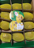 佳沛（zespri）新西兰 阳光金奇异果12粒礼盒特大果单果约122-146g 猕猴桃 水果 实拍图