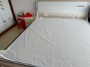 德满居 床 实木床 床现代简约 双人床白色北欧主卧轻奢全实木床婚床 静音床+3E椰棕弹簧床垫（20cm) 1.8米*2.0米满铺床板 实拍图