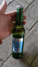崂山啤酒（laoshan beer）精品经典 316ml*24瓶 青岛崂山啤酒 传统工艺酿造 316mL 24瓶 整箱装 实拍图
