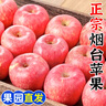 山东烟台红富士苹果正宗栖霞苹果冰糖心水果新鲜当季苹果 老客户爱买带箱8斤果王 实拍图