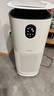 东芝（TOSHIBA）宠物空气净化器猫用除醛除臭狗用大白梨PET大风量吸浮毛除过敏原等离子消毒杀菌异味【国家补贴】 实拍图