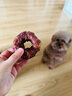 疯狂小狗宠物狗狗零食磨牙棒洁齿 小型犬洁齿甜甜圈鸭肉味80g（40g*2） 实拍图