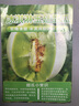 京鲜生 山东玉菇甜瓜 2粒 净重4.5-5.5斤装 单果2斤起 源头直发包邮 实拍图