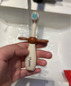 世喜儿童牙刷1-2-3岁婴幼儿宝宝软毛牙刷口腔清洁训练乳牙刷2支装 实拍图