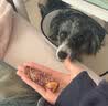 疯狂小狗 宠物零食狗狗磨牙棒比熊泰迪中小型犬咬胶零食 旋风鸡肉结骨70g 实拍图
