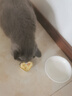 网易严选猫零食罐头猫用浓汤随享罐 鱼肉磷虾40g*6罐 实拍图