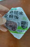 十月稻田 七色糙米饭团 即食 粗粮五谷杂粮 方便速食 低脂健身主食 100g*7 实拍图