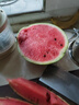 正宗南汇8424西瓜皮薄汁多现摘现发4.5斤-12斤 单果4斤-8斤 4斤-5.5斤带箱重量 实拍图