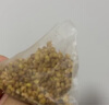 贡苑苦荞茶300g独立包装约40包特优级糖全颗粒胚芽炒黄芥麦大麦血降茶 实拍图