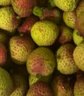 【产地直采】妃子笑荔枝1.5kg（单果16g起） 实拍图