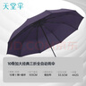 天堂 全自动雨伞三折 10骨加固一键开收易甩干简约晴雨伞 紫兰 实拍图