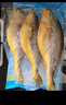 海名威宁德三去大黄鱼 对半厚切黄花鱼 净重700g/2片 海鲜水产鱼类  实拍图