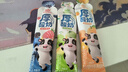 卡尔顿（Calleton）蛋皮吐司奶皮藜麦卷早餐岩烧蛋皮卷肉松沙拉糕点面包休闲零食750g 实拍图