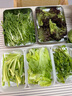 绿食者 沙拉蔬菜组合3.5斤 新鲜苦菊绿叶红叶生菜西餐沙拉健康轻食蔬菜 蔬菜沙拉组合3.5斤【无沙拉酱】 实拍图