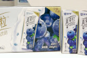 蒙牛（MENGNIU）真果粒蓝莓味牛奶饮品250g×12盒【新老包装随机发】 实拍图
