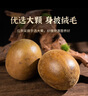 同仁堂（TRT）罗汉果6枚广西罗汉果干果大果罗汉果仁清润凉茶泡水喝喉茶养生茶 实拍图