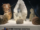 洁柔抽纸 棉柔感3层90抽*30包 小规格 立体压花 亲肤可湿水 整箱 实拍图