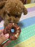 疯狂小狗宠物狗狗零食磨牙棒洁齿 小型犬洁齿甜甜圈鸭肉味80g（40g*2） 实拍图