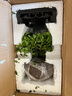 开时果 小叶赤楠盆景摆件 办公室桌面绿植花卉好养盆栽植物源头直发包邮 【热销款】舍得紫砂盆+黑石+底座 实拍图