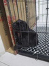 腆宠狗笼猫笼 狗笼子中小型犬带厕所幼犬狗窝猫笼子大号家用围栏兔笼 实拍图