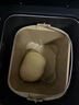 柏翠（petrus） 烤面包机家用全自动多功能小型早餐三明治吐司和揉面轻食机双管冰淇淋 PE9709 节日礼物 雅典蓝（ 咨询有大惊喜 ） 实拍图