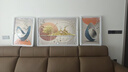 Sixpoetry 客厅装饰画现代简约沙发背景墙壁画轻奢三联晶瓷画大气高档挂画 福禄生机（铝合金外框） 晶瓷画左右50*70+中间100*70亮面 实拍图